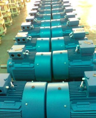 O.M.B. srl震蕩電機(jī) 價(jià)格、廠家及產(chǎn)品圖片全面解析